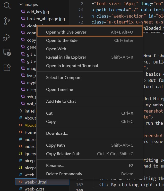 Live Server preview in browser