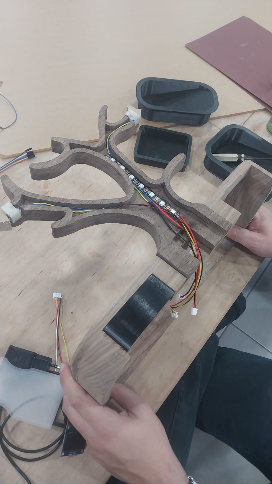 final project back