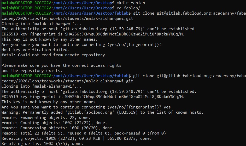 Cloning repository in WSL terminal