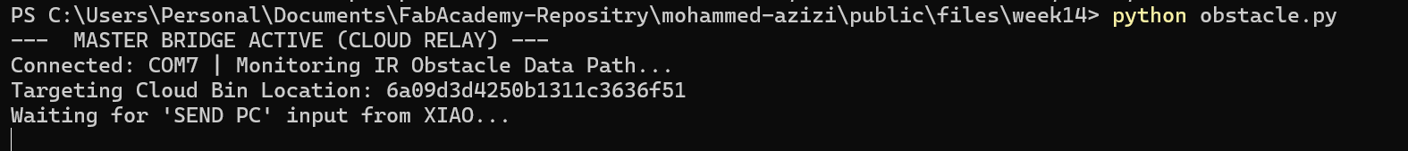 First Python Run
