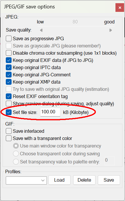 irfanview save options