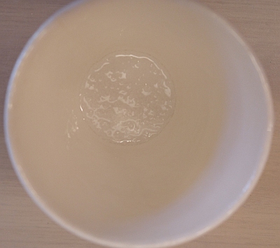 degazed silicon