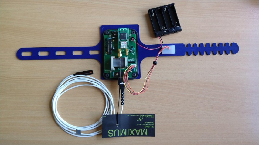 Vital Signs prototype