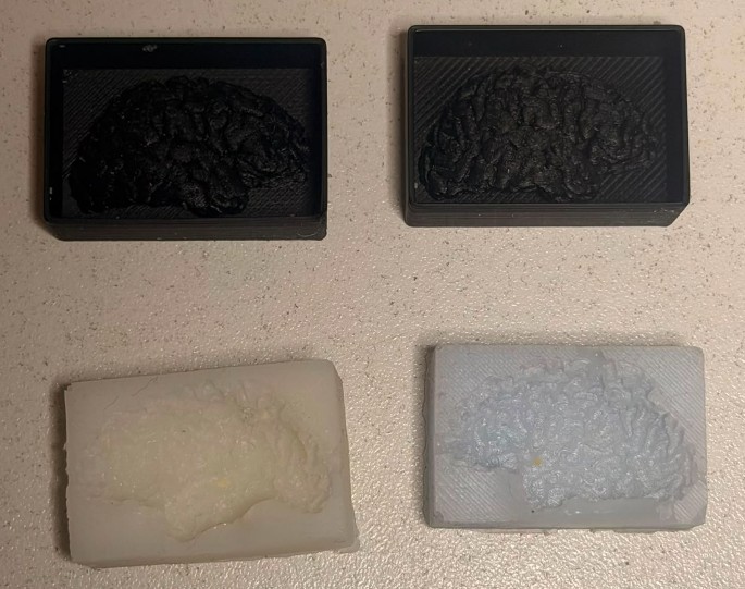 Silicone Rubber brain mold result