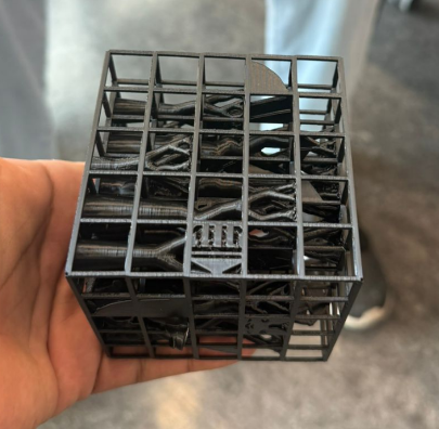 Printed model with support cage