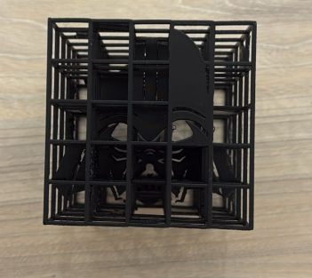 Printed model with support cage