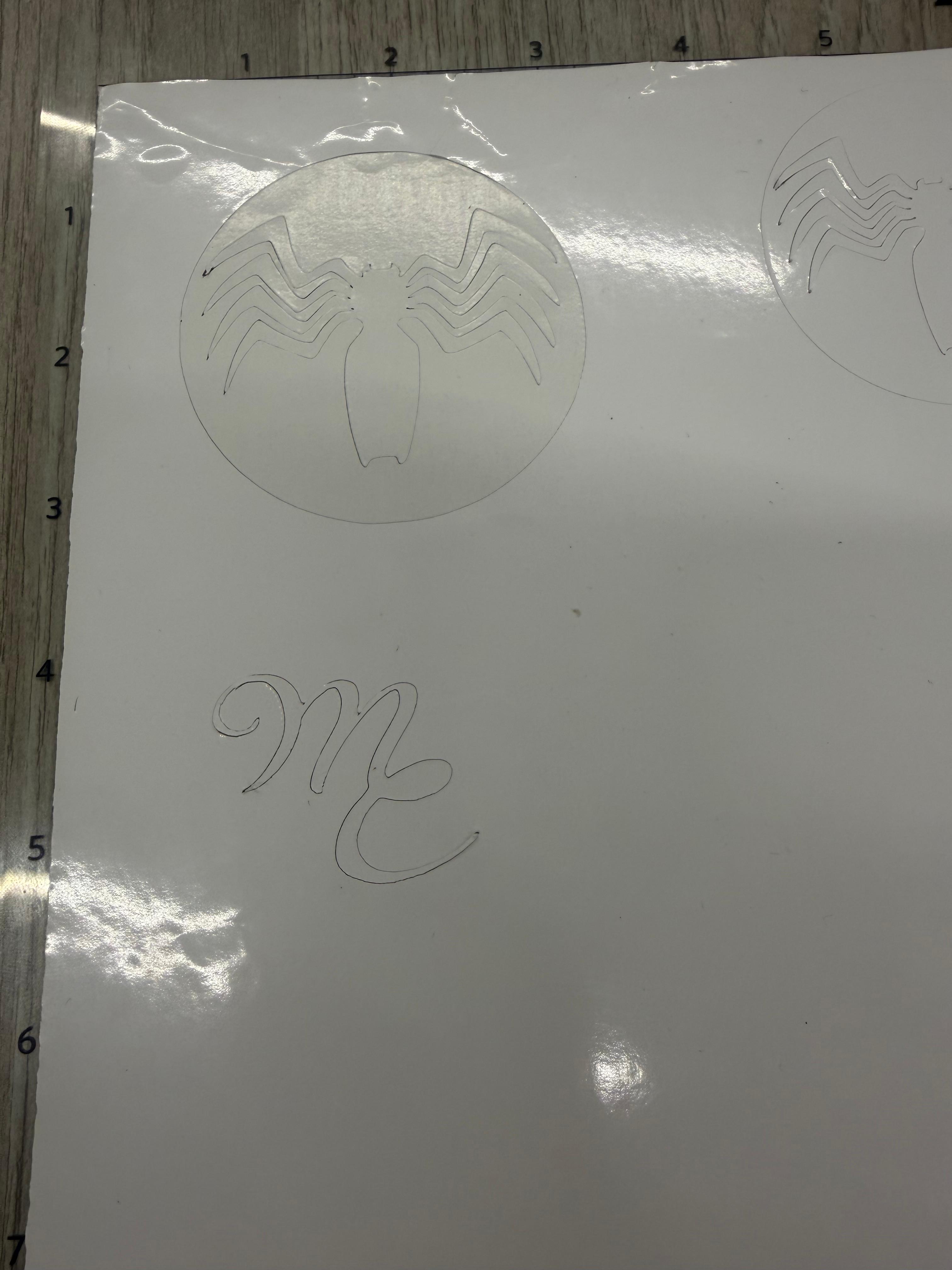 Vinyl Application 2