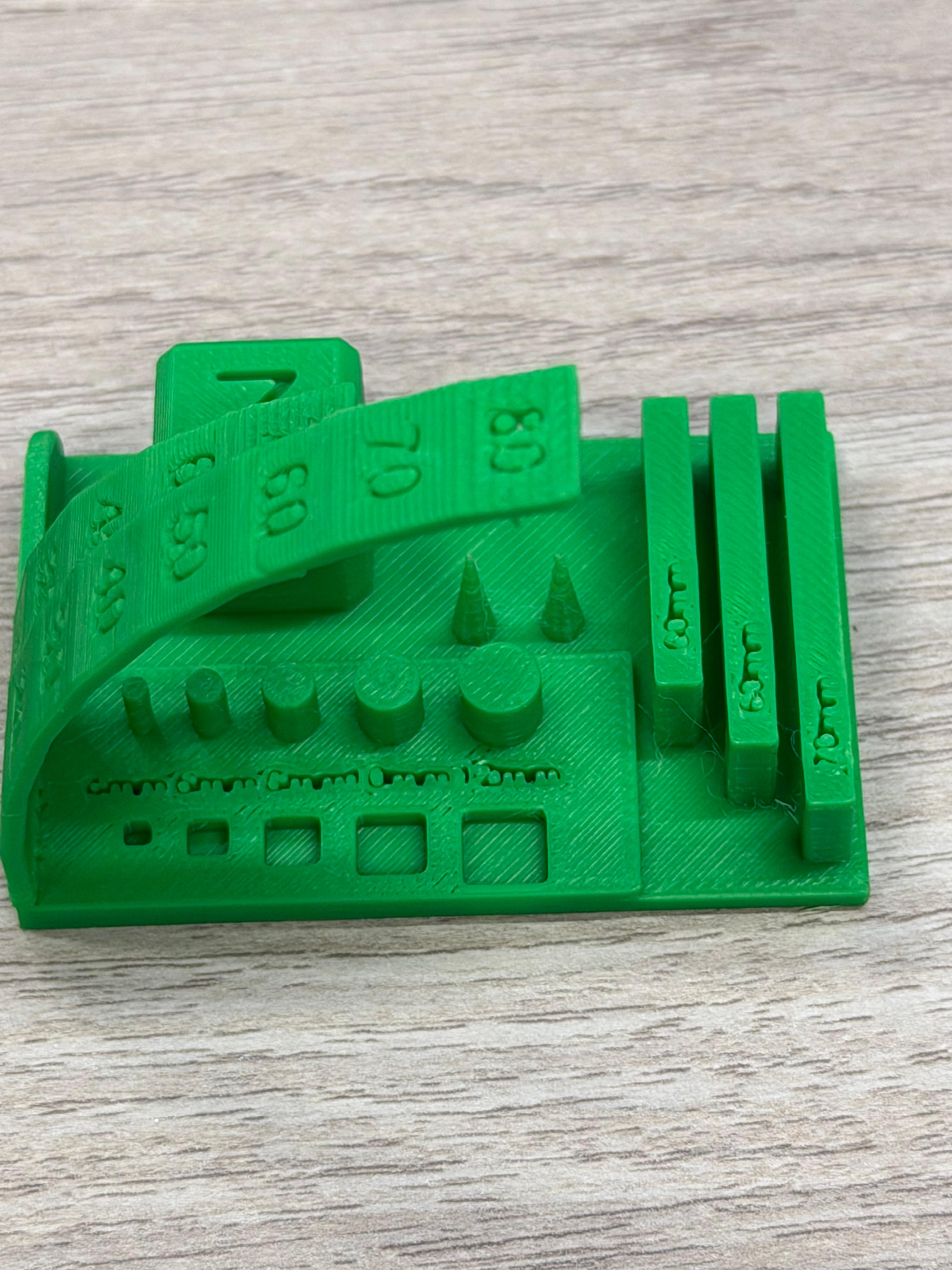 Torture test print overview