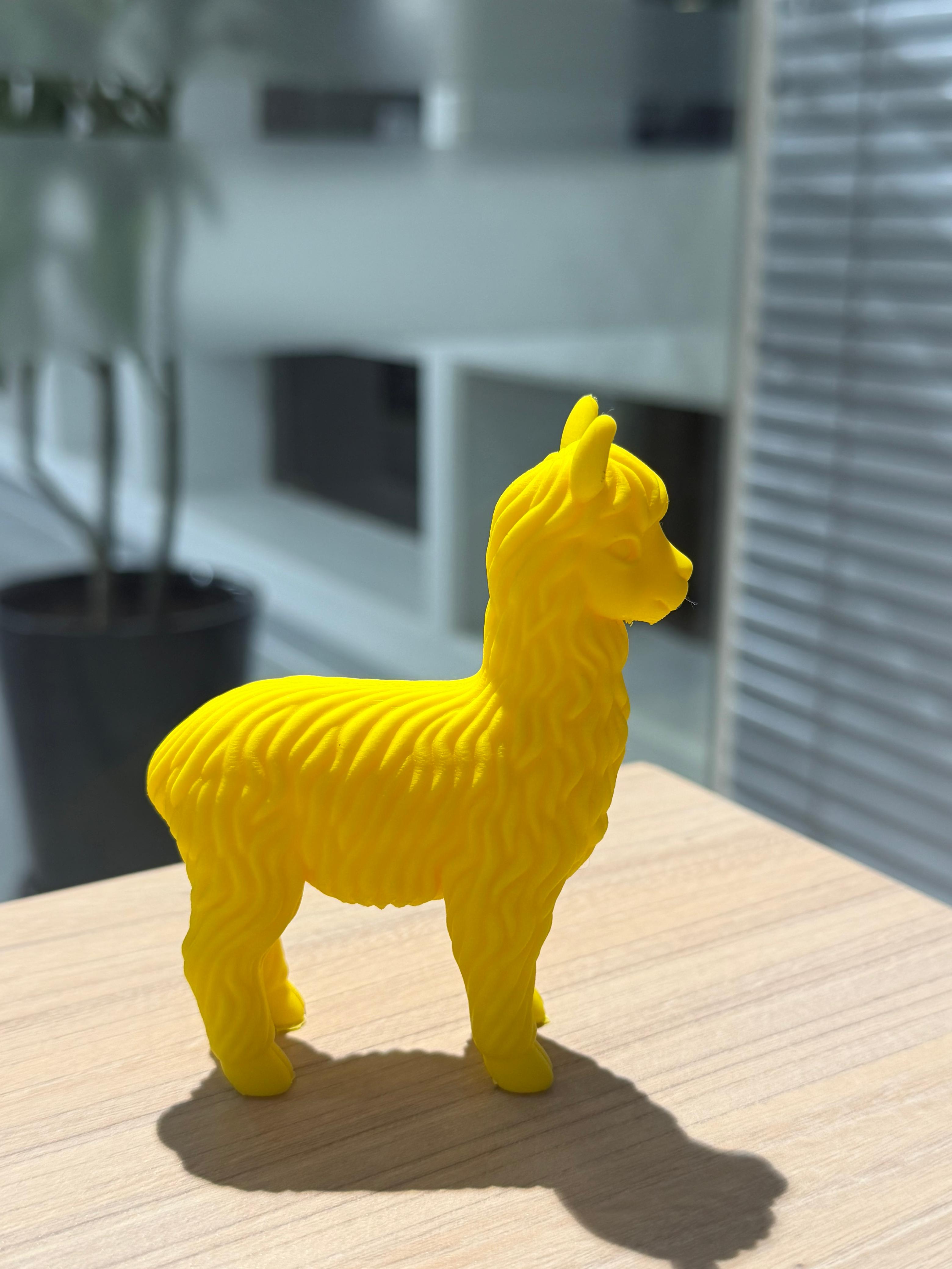 Kultura Wasi trophy — side view