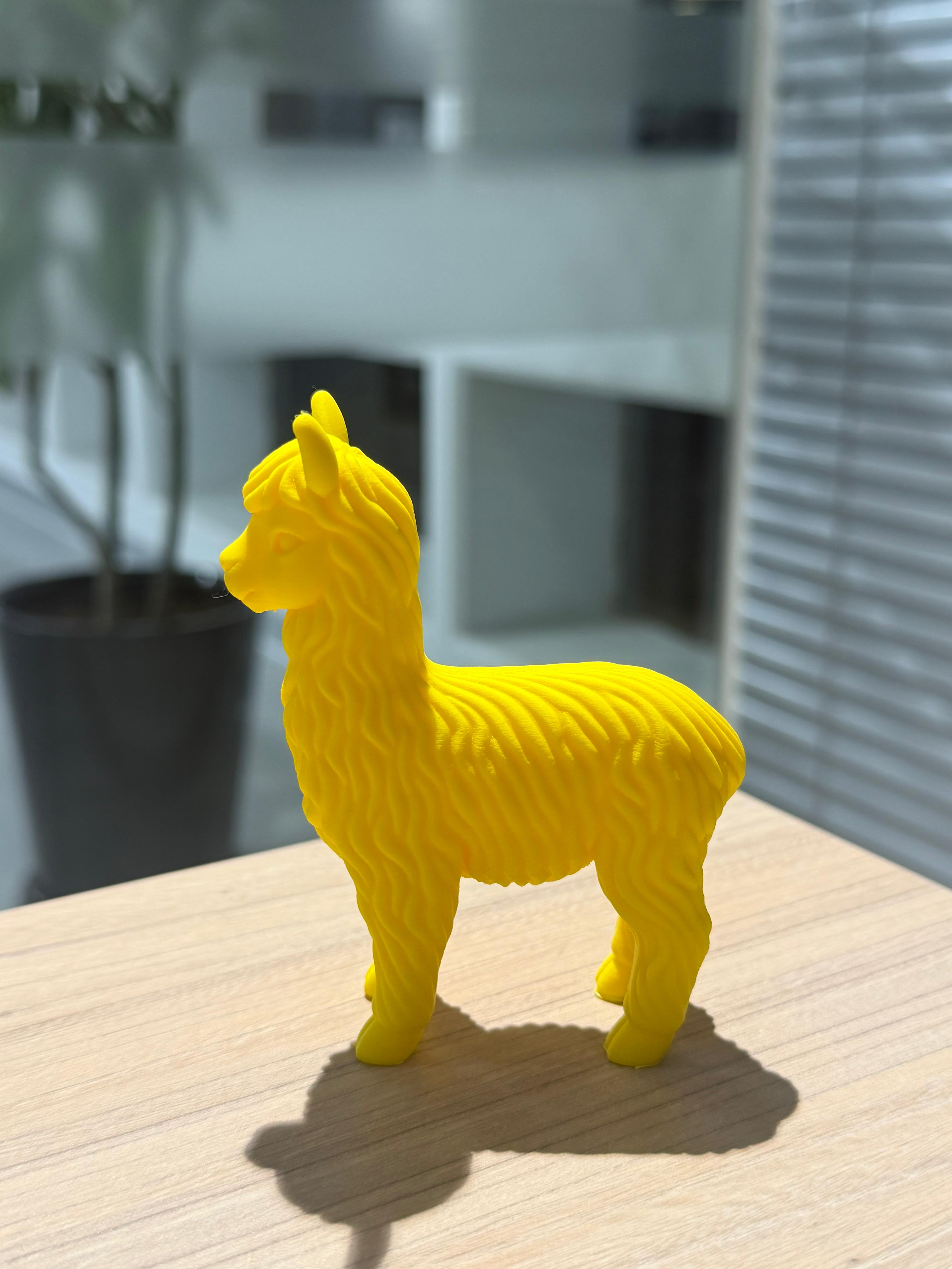 Kultura Wasi trophy — back view