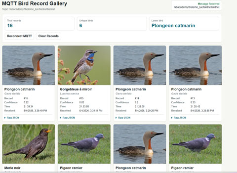 Birds of France