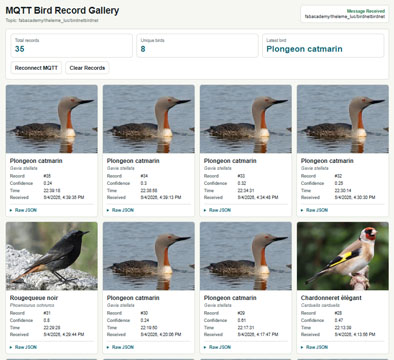 Birds of France