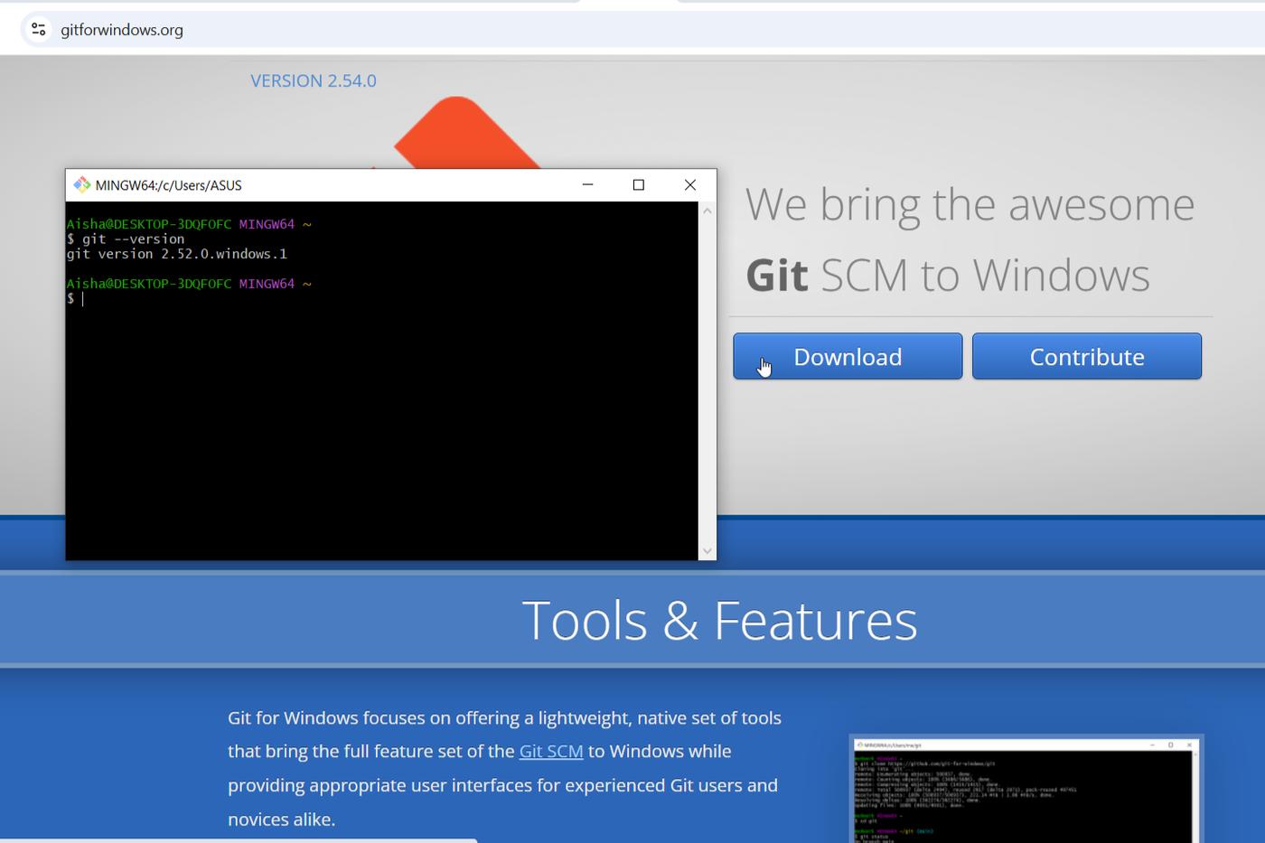 Git installation confirmation in Git Bash — git --version output