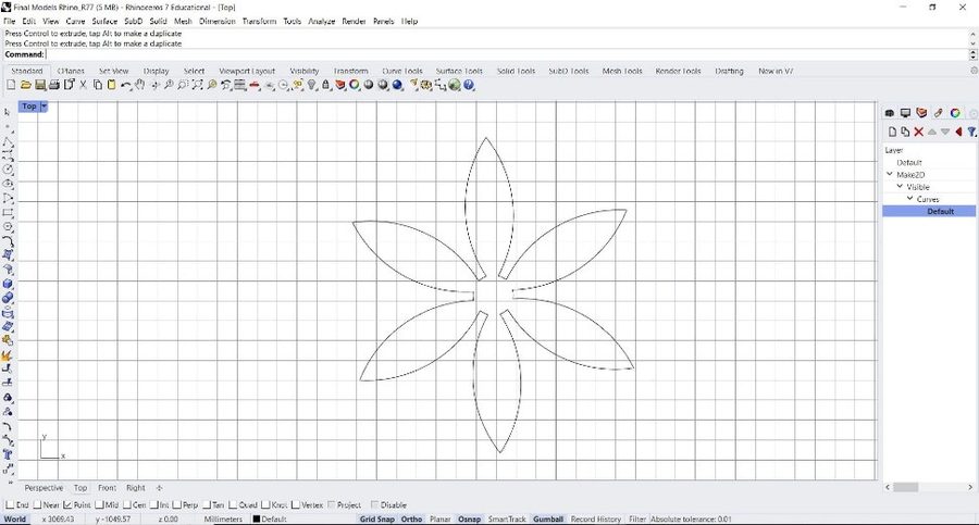 Rhino top view showing the six-petalled Najdi Flower outline drawn with polylines