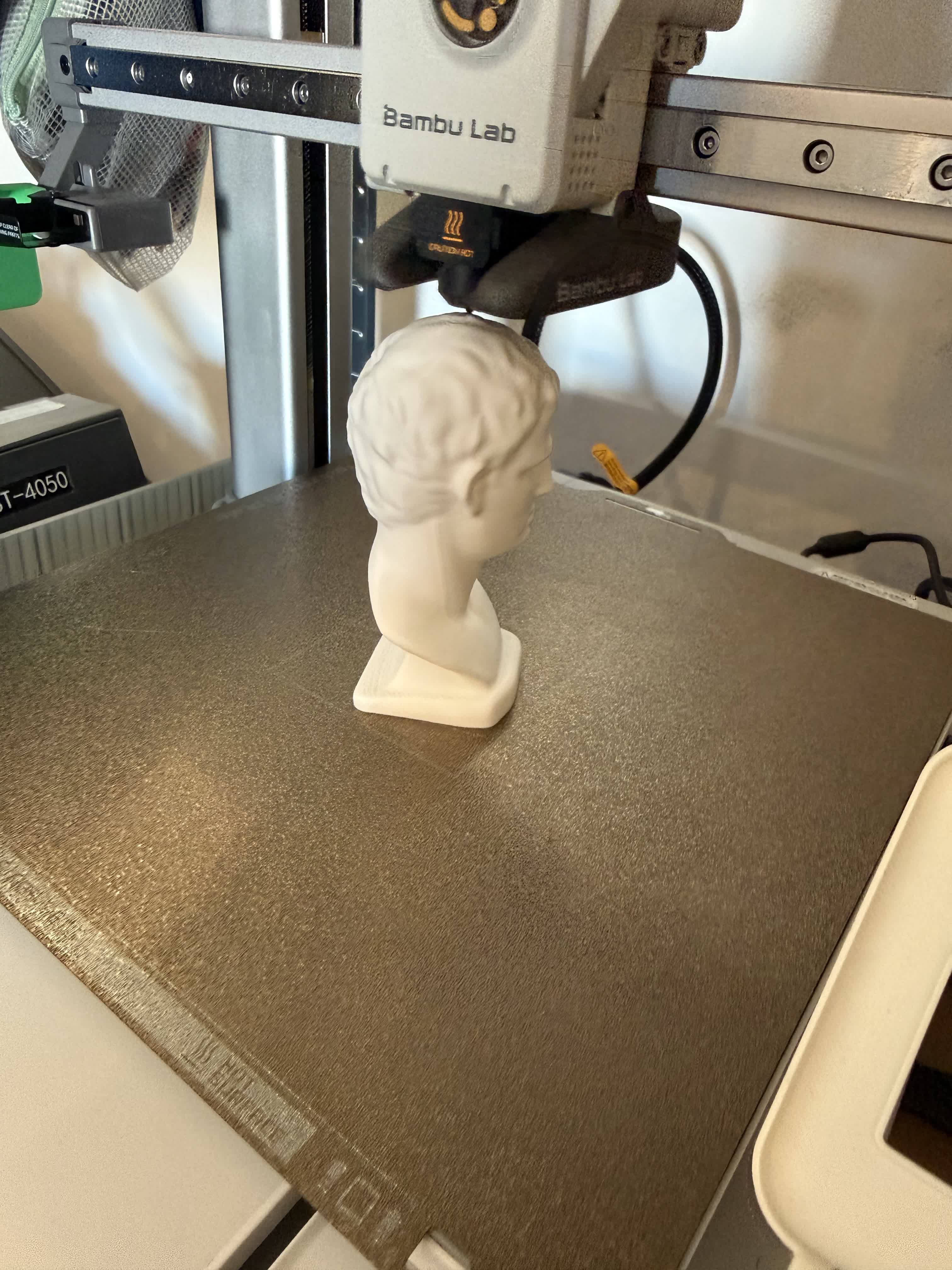 Finished print on the bed