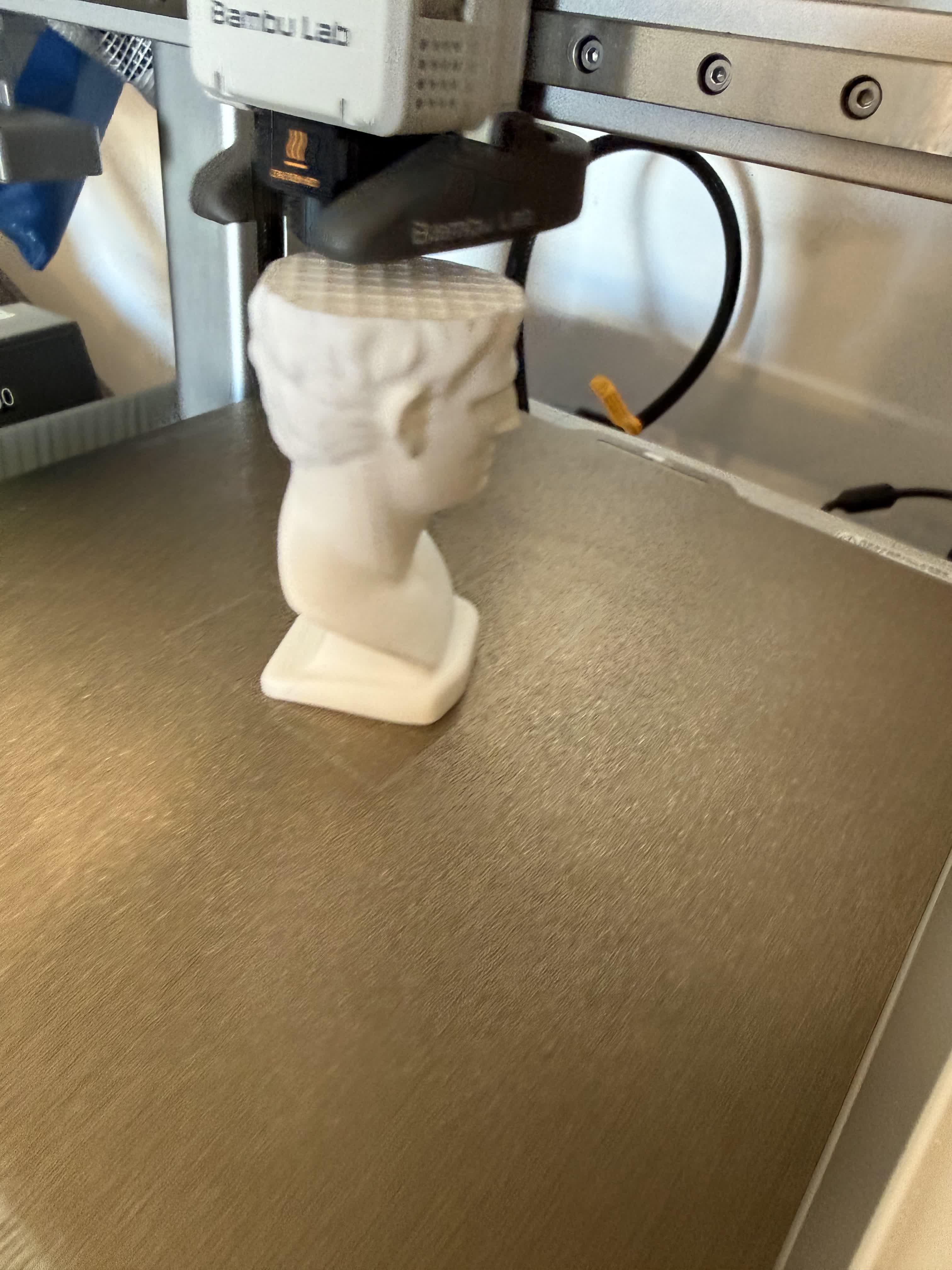 Model printing on the Bambu printer