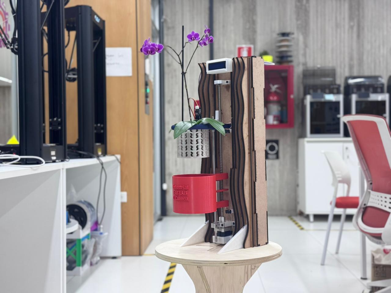 Final project presentation view