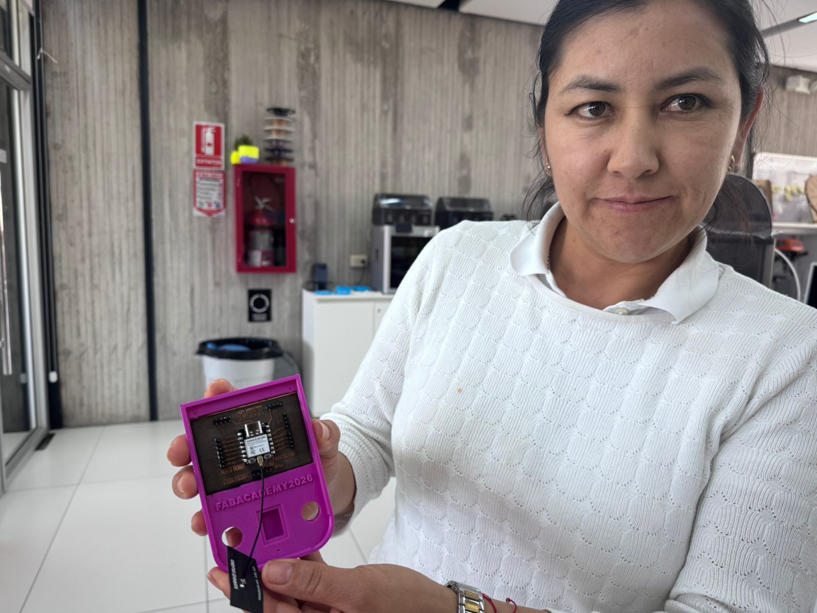 System integration test with the case held in hand