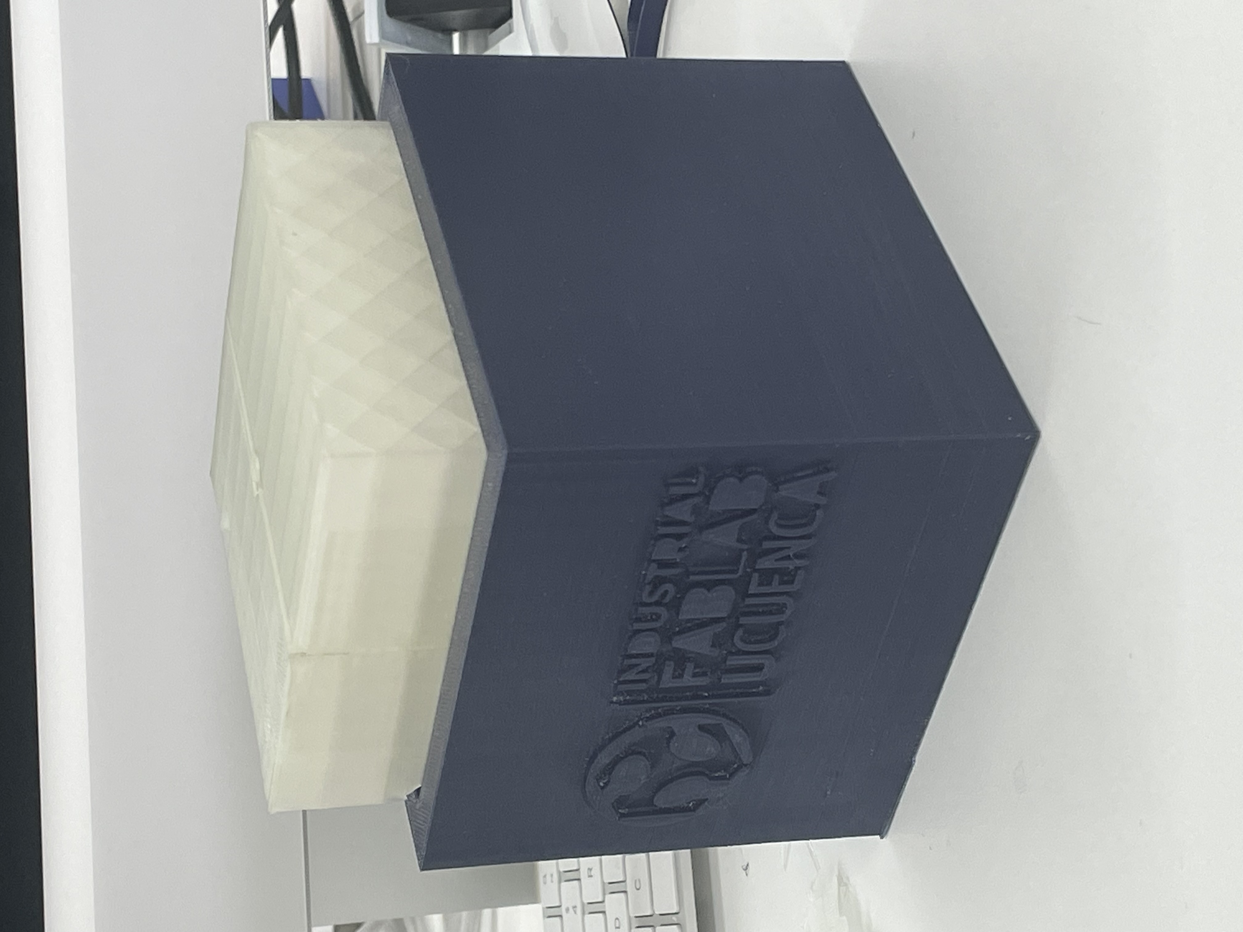 Assembled TPU mold and PLA container